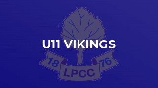 U11 Vikings
