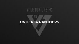Under 14 Panthers