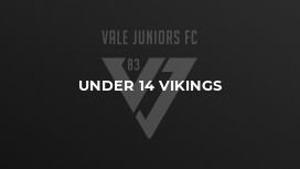 Under 14 Vikings