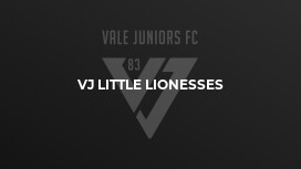 VJ Little Lionesses