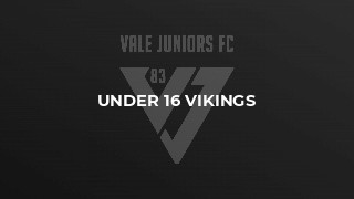Under 16 Vikings