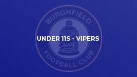 Under 11s - Vipers