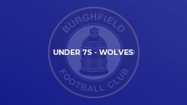 Under 7s - Wolves