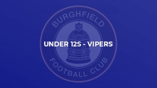 Under 12s - Vipers