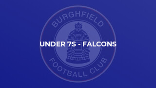 Under 7s - Falcons