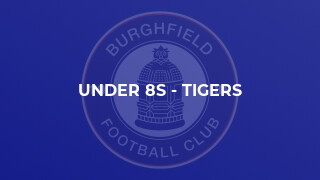 Under 8s - Tigers