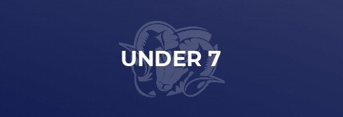 Redingensians Under 7s Rams at the Windsor Festival