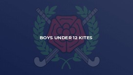 Boys Under 12 Kites