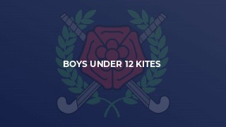 Boys Under 12 Kites