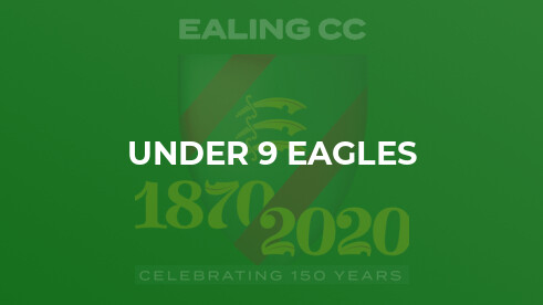 Ealing CC vs Ickenham CC
