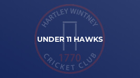 Under 11 Hawks