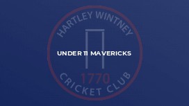 Under 11 Mavericks