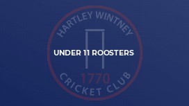 Under 11 Roosters