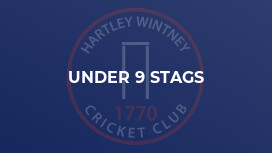 Under 9 Stags