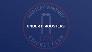Under 11 Roosters