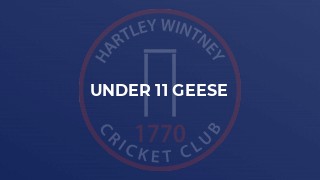 Under 11 Geese