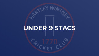 Under 9 Stags