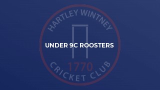 Under 9C Roosters