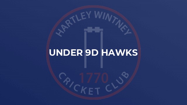 Under 9D Hawks