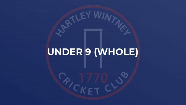 Under 9 (Whole)