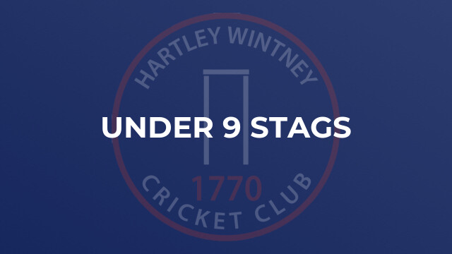 Under 9 Stags