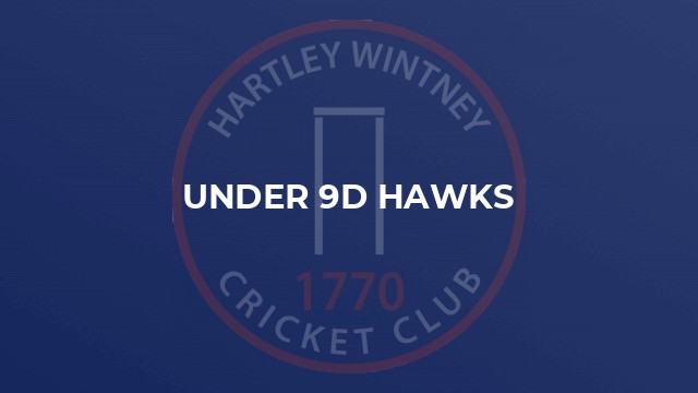 Under 9D Hawks