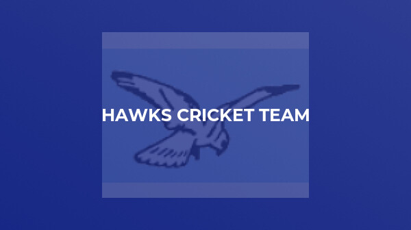Hawks sign off in fine style