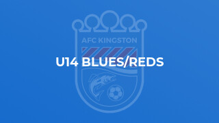 U14 Blues/Reds