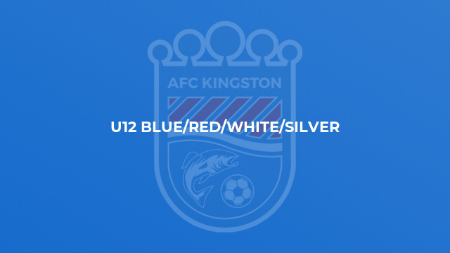 U12 Blue/Red/White/Silver