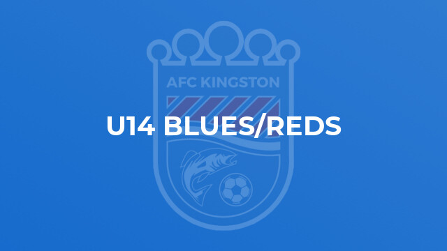 U14 Blues/Reds