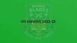U11 Hawks 2022-23