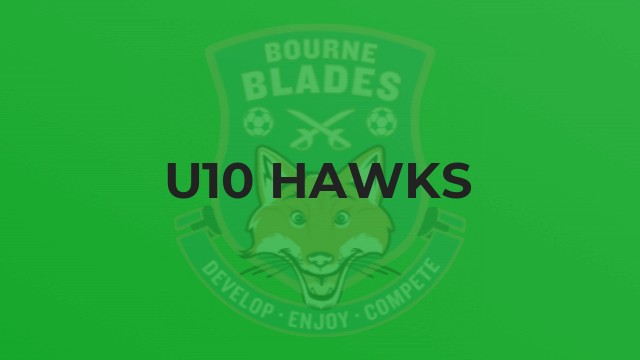 U10 Hawks