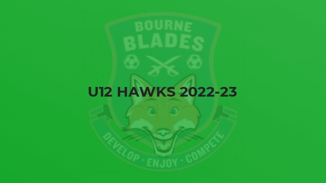 U12 Hawks 2022-23
