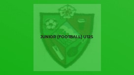 Junior (Football) U12s