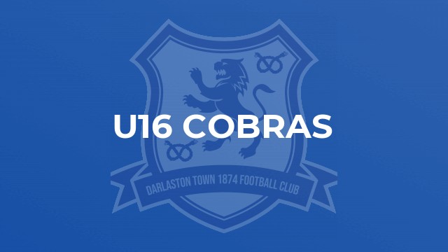 U16 Cobras