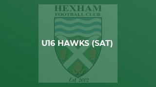 U16 Hawks (Sat)