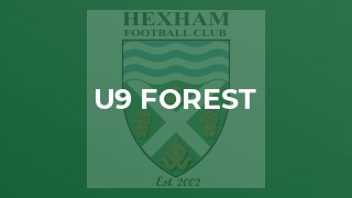 U9 Forest
