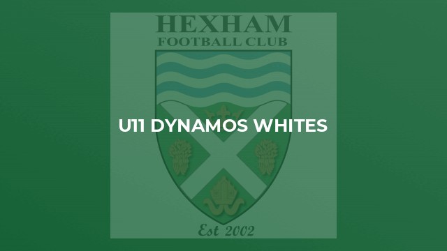 U11 Dynamos Whites