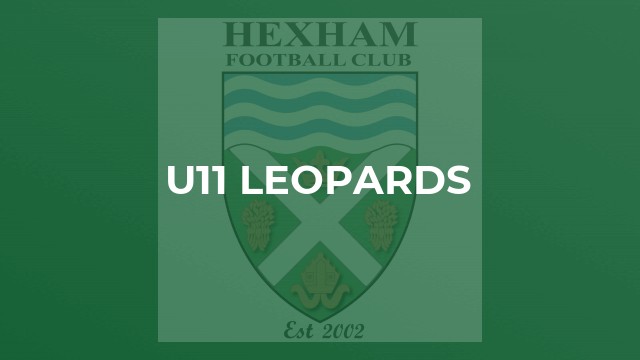 U11 Leopards