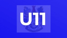 U11