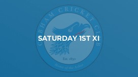 Saturday 1st XI