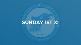 Sunday 1st XI