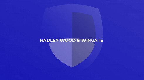 Hadley Wood & Wingate 4 - 0 Hatfield Town