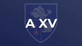 A XV 