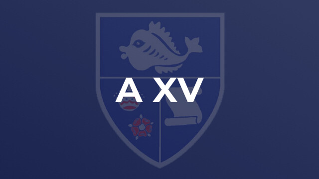  A XV 