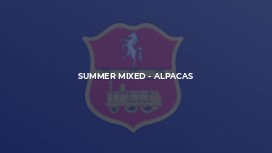 Summer Mixed - Alpacas
