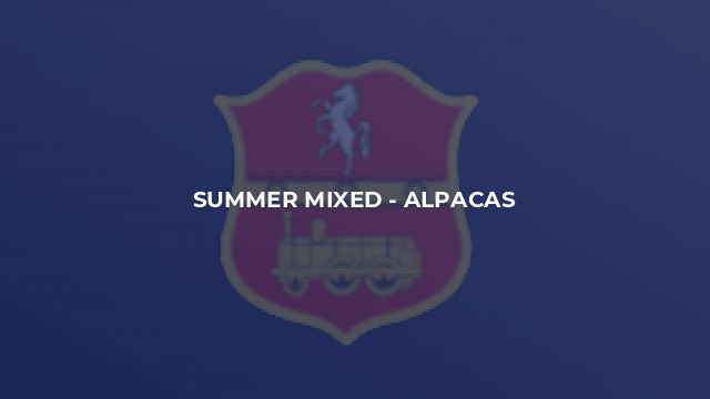 Summer Mixed - Alpacas