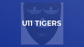 U11 Tigers