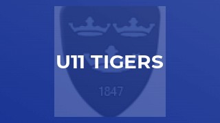 U11 Tigers