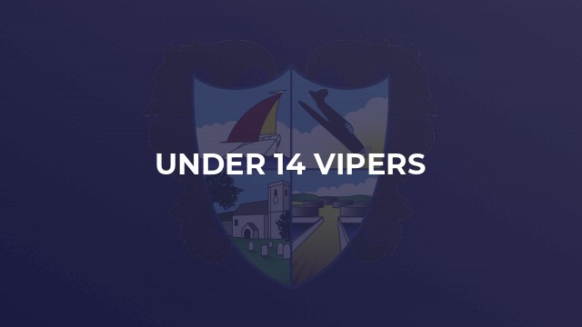 Under 14 Vipers